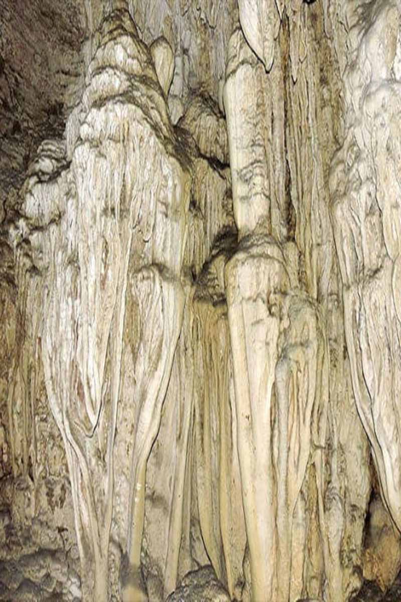 limestone cave at baratang